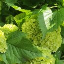 청풍호수펜션 이미지