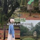성읍녹차마을영농조합법인 이미지