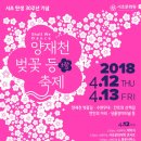 벚꽃테라피