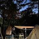 상사호 오토 캠핑장 이미지