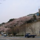 사직야구장 주변 이미지