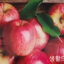 생활의 향기 이미지