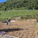 남해 36.5 이미지