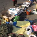 영천장날 이미지