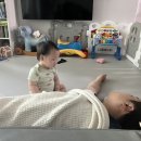 세종 하이키즈풀빌라 네이버블로그