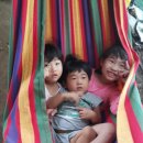 비금농장 이미지