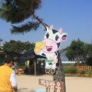 고양낙농체험장 이미지