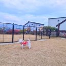 숲속통나무펜션 이미지