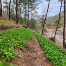 안녕농장 이미지