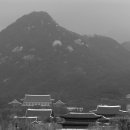 도성일반음식점