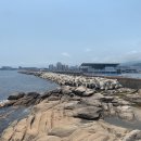 만타스시 - 안양시 동안구 관평로170번길 33 | 만타스시