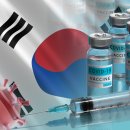 백신상회 이미지
