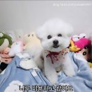 김포두레식당 | [김포 가성비 맛집] 한돈 돼지갈비 맛집 "지리산 통진점"