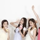 치치돌