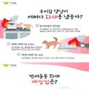 성산소방서 이미지