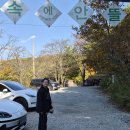 숲속에 안뜰 | 용인 숲속에안뜰 캠핑장 (2025.11.01-02)