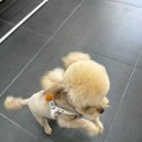 양파살롱 이미지