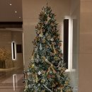 황제점심뷔페 | 2025년 12월 조선호텔 첫 방문한 아리아 뷔페 기념일 식당