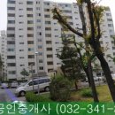 염광공인중개사사무소 이미지