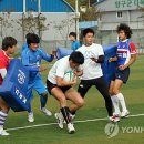 럭비 이미지
