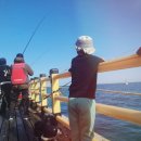 동삼동 어촌체험마을 이미지