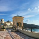 멍멍이냥 이미지