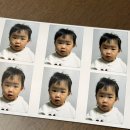 지에스25 장안홈타운점 | 집에서 증명사진 찍기 편의점 프린팅박스 후기