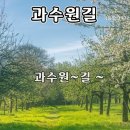 과수원 길 (먼 옛날의 과수원 길 ) 이미지