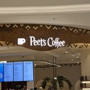 미래지향아파트 경로당 | 아랍에미리트 두바이 3박 4일 여행 #2 :: XVA 카페, 두바이몰 피츠 커피, 미래박물관, Mi Amie