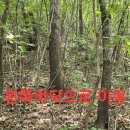 목청 상황 산행.95 (왕탱이쏘임과 원본 약초 매니아 카페) 이미지