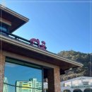 참치공주 이미지