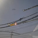 청명보청기센터 이미지