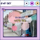 [성남] 판교 일요일에도 여는 횟집 &#39;대진항막회&#39;