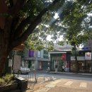삼청동 가볼만한 곳 다니엘트루스 퍼퓸하우스 삼청점 ft.칵테일클래스, 밤쉘, 매그놀리아 힐, 다니엘리브라