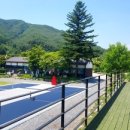 무릉도원면-43 이미지