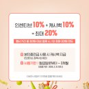 전집보고
