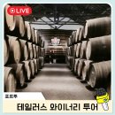 테일러스 | 포르투 테일러스 와이너리 투어 예약 시음 후기