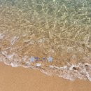 하조대해수욕장 화장실 이미지