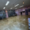 가치있개 반려견 유치원 | 소중한 반려견, 특별한 경험을 선물하고 싶다면? 검단강아지유치원 경험담!