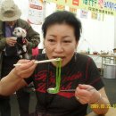 온니 이미지