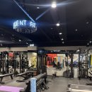 강남헬스 | 강남다이어트 강남 로그짐&amp; PT 삼성점 삼성동헬스 후기