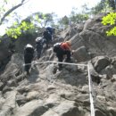 밤나무길 이미지