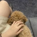 [하남/미사 댄스학원] 직장인부터, 키즈까지 &#39;YT댄스학원&#39; 실제 후기
