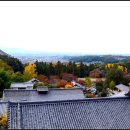 연화대전통찻집 | 나라 동대사 (東大寺, 도다이지)