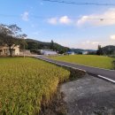 운암리농장 이미지