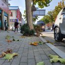 신단골식당 이미지