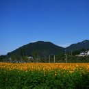황산공원 이미지