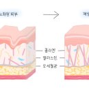 메종프리베의원 이미지