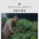 금산고려인삼