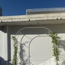 [강남 논현역 브라이덜 샤워] 슈엘로 스튜디오 파티룸 드레스 무료 대여